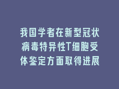 我国学者在新型冠状病毒特异性T细胞受体鉴定方面取得进展