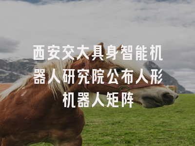 西安交大具身智能机器人研究院公布人形机器人矩阵