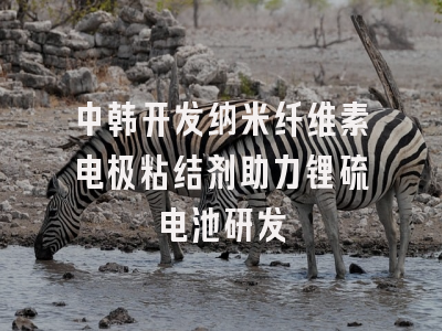 中韩开发纳米纤维素电极粘结剂助力锂硫电池研发