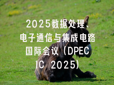 2025数据处理、电子通信与集成电路国际会议（DPECIC 2025）
