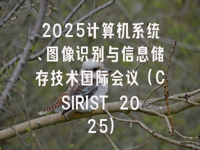 2025计算机系统、图像识别与信息储存技术国际会议（CSIRIST 2025）