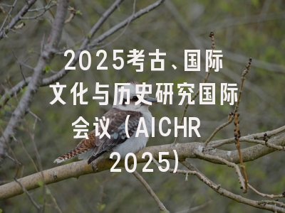 2025考古、国际文化与历史研究国际会议（AICHR 2025）