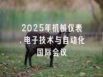 2025年机械仪表、电子技术与自动化国际会议