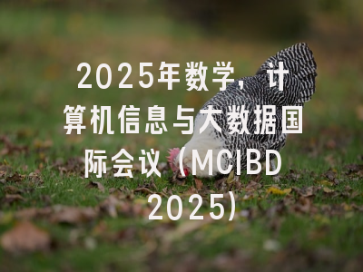 2025年数学，计算机信息与大数据国际会议（MCIBD 2025）