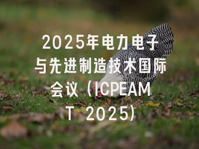 2025年电力电子与先进制造技术国际会议（ICPEAMT 2025）