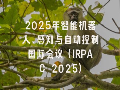 2025年智能机器人、感知与自动控制国际会议（IRPAC 2025）