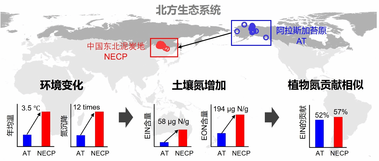 天津大学-《Earth’s Future》发表地科院北方植物氮利用研究的新发现