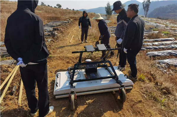 我院研发的超宽频脉冲三维探地雷达蚁穴探测验证实验首站告捷