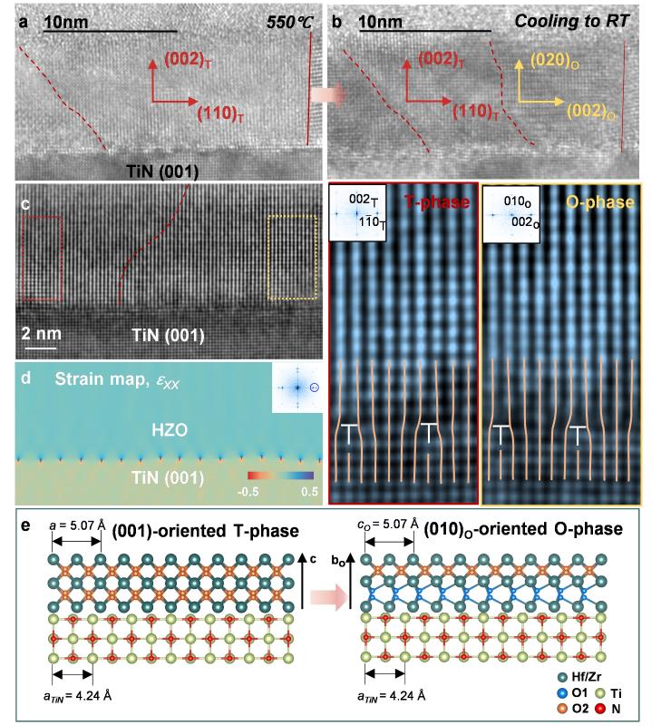 上海交大李秀妍副教授及合作者提出氧化铪基多晶铁电薄膜中畴取向调控新思路