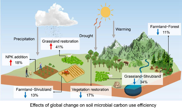 西北农林科技大学水保全重室GCB: 全球变化下微生物碳利用效率的响应机制及其土壤固碳效应