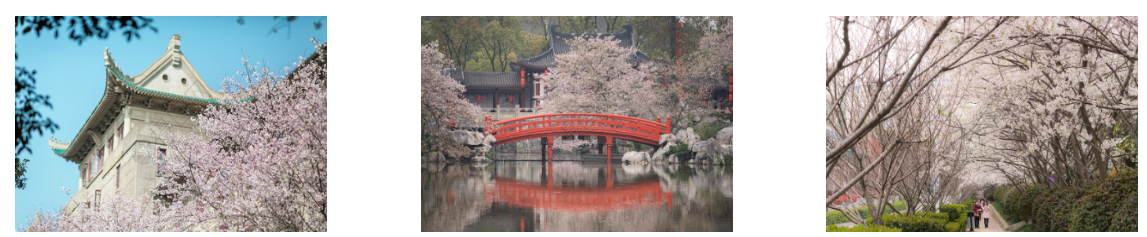 第四届机器视觉、自动识别与检测国际学术会议（MVAID 2025）