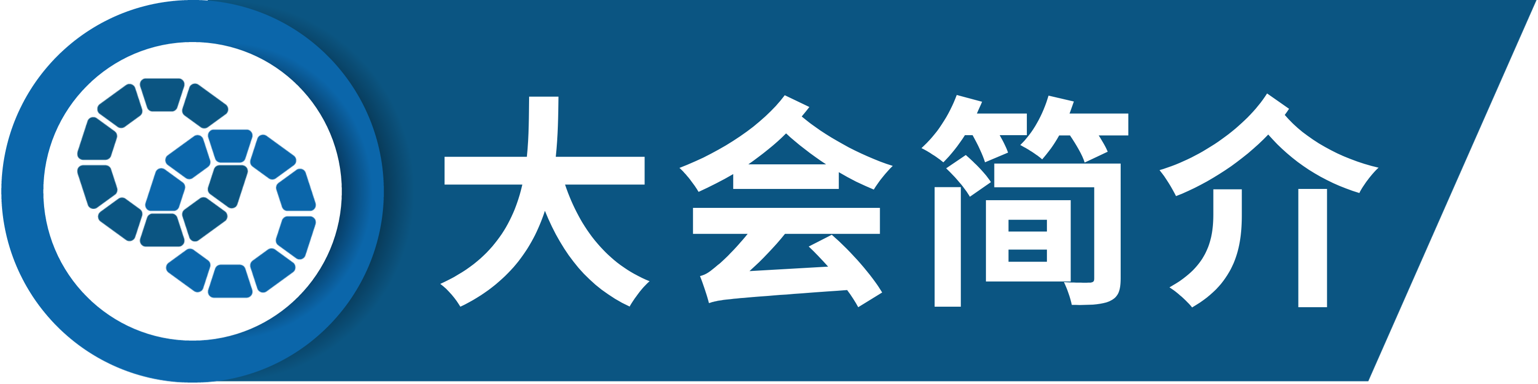第五届控制与智能机器人国际学术会议（ICCIR 2025）