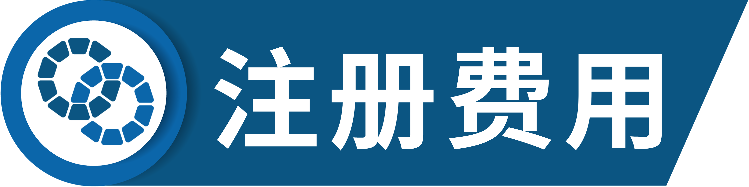 第五届控制与智能机器人国际学术会议（ICCIR 2025）