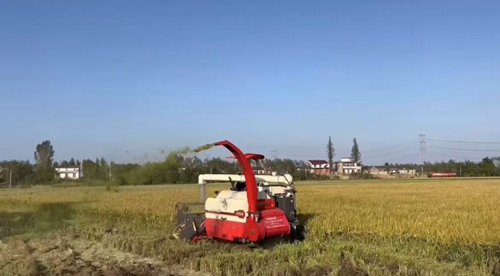水稻谷草兼收装备让秸秆变废为宝