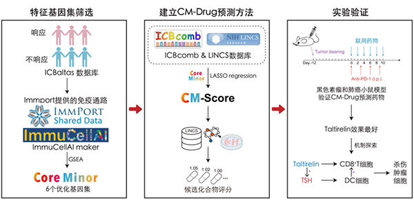 我国学者在肿瘤免疫治疗药物筛选领域取得研究进展