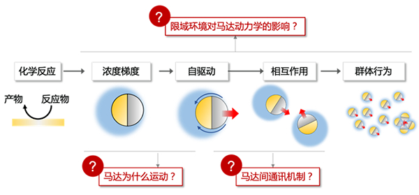 我国学者在化学驱动微纳米马达研究方面取得进展