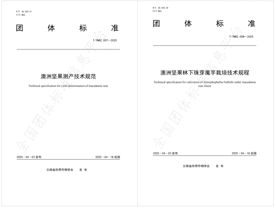 高原所牵头编制的两项澳洲坚果团体标准正式发布