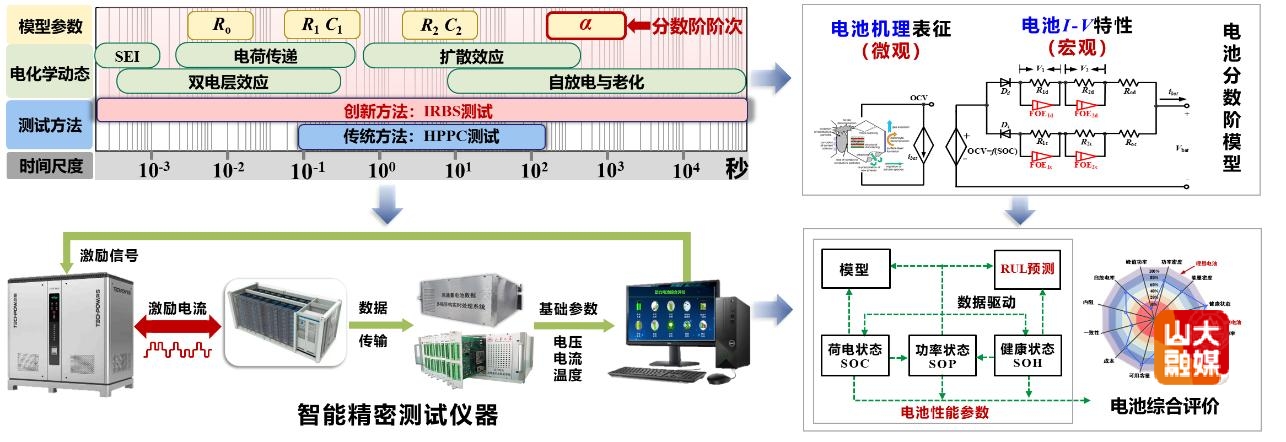 山东大学张承慧教授团队成果入选2024年度国家自然科学基金委资助成果巡礼