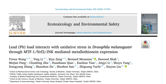 天津大学-医学部药学院汪以馼课题组在《Ecotoxicology and Environmental Safety》发表研究成果,揭示氧化应激在铅代谢中的关键作用