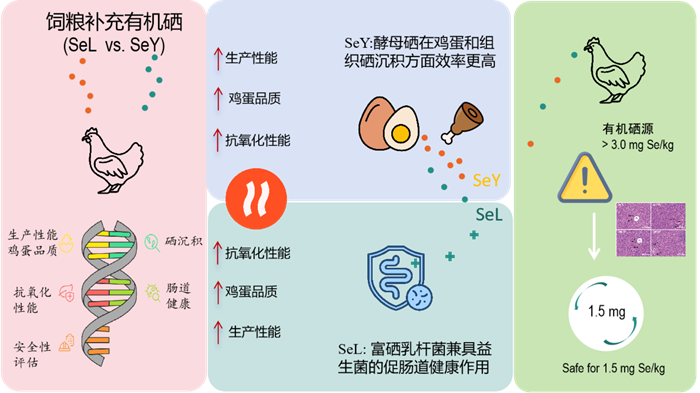 科学运用富硒饲料添加剂
