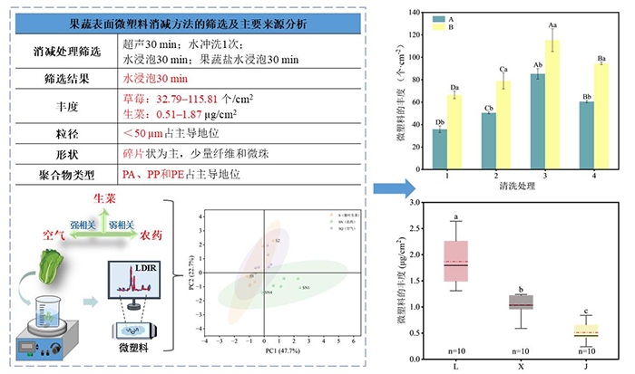 鲜食果蔬表面的微塑料