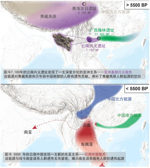 青藏高原“幽灵祖先”与南亚语系族群遗传起源获揭示
