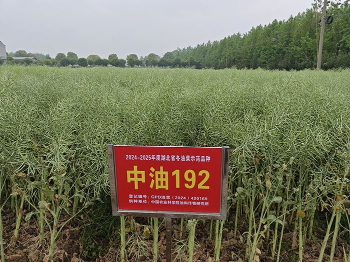 “中油192”转让1200万元