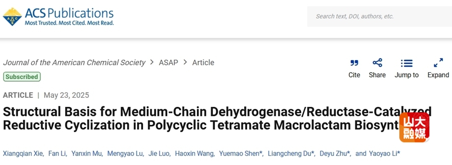山东大学沈月毛/李瑶瑶教授团队、朱德裕副教授合作揭示中链脱氢酶的独特还原环化机制