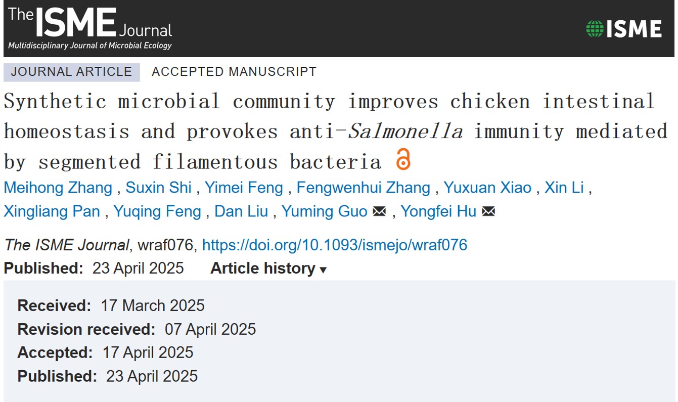 中国农业大学动科学院胡永飞、呙于明教授团队构建合成微生物群落改善肉鸡肠道稳态并激发抗感染免疫