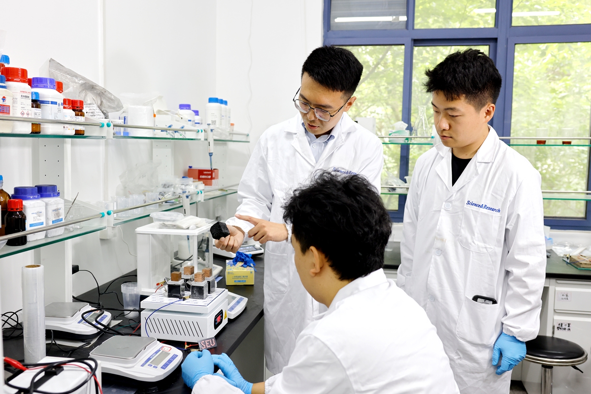 全球首创！东南大学成功研发仿生自发电-储能混凝土