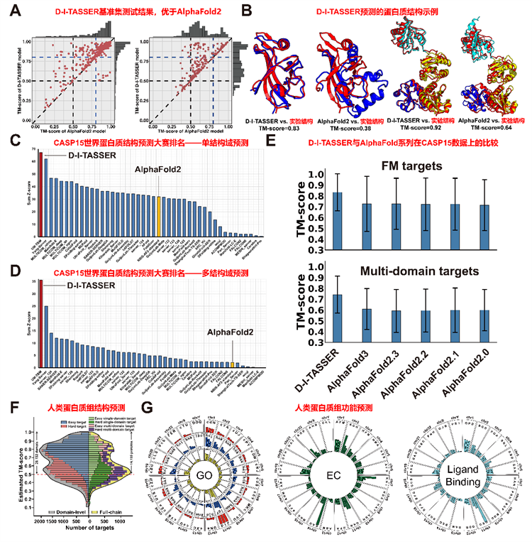 南开团队开发高精度蛋白质结构预测算法