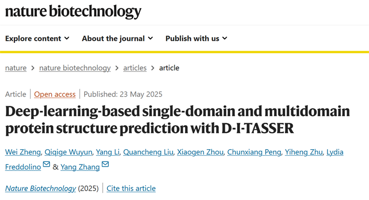 南开团队开发高精度蛋白质结构预测算法