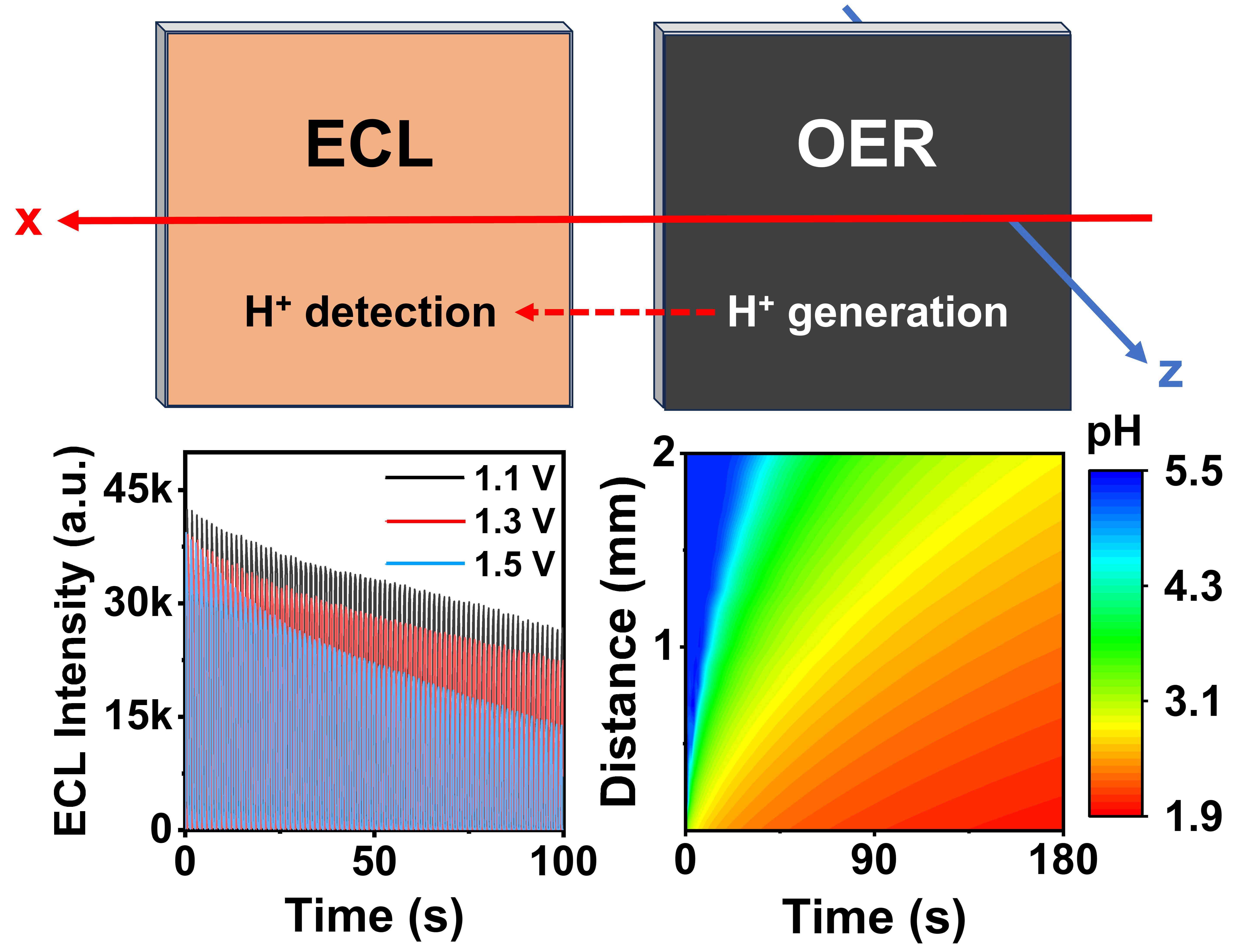 东南大学张袁健团队在局域pH检测方面取得重要进展
