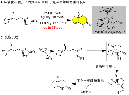 西北农林科技大学谢卫青教授课题组在铱催化不对称串联反应取得重要进展
