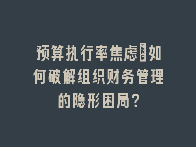 预算执行率焦虑：如何破解组织财务管理的隐形困局？