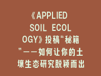 学术会议在线