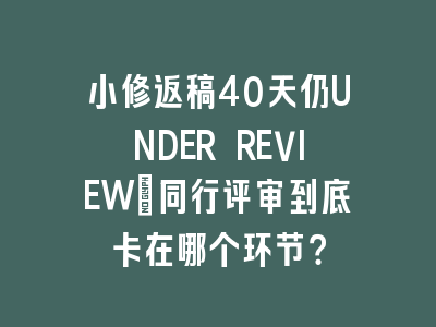 小修返稿40天仍UNDER REVIEW_同行评审到底卡在哪个环节？