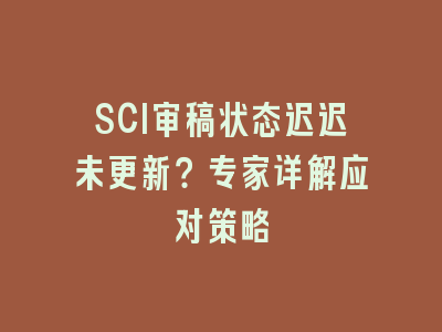 SCI审稿状态迟迟未更新？专家详解应对策略