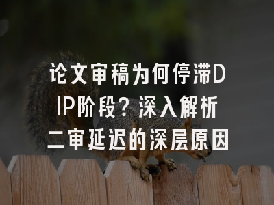 论文审稿为何停滞DIP阶段？深入解析二审延迟的深层原因