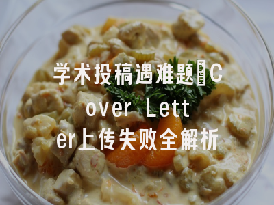 学术投稿遇难题：Cover Letter上传失败全解析