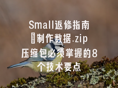 Small返修指南：制作数据.zip压缩包必须掌握的8个技术要点