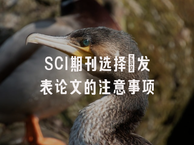 SCI期刊选择：发表论文的注意事项
