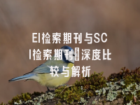 学术会议在线