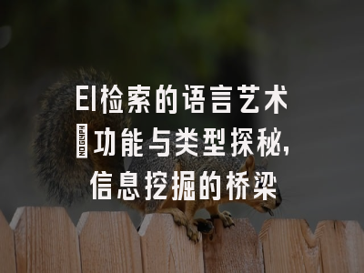 EI检索的语言艺术：功能与类型探秘，信息挖掘的桥梁