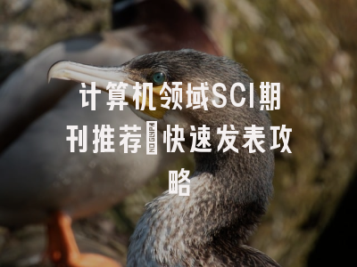 计算机领域SCI期刊推荐：快速发表攻略