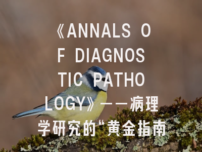《ANNALS OF DIAGNOSTIC PATHOLOGY》——病理学研究的“黄金指南”_投稿规范全解析