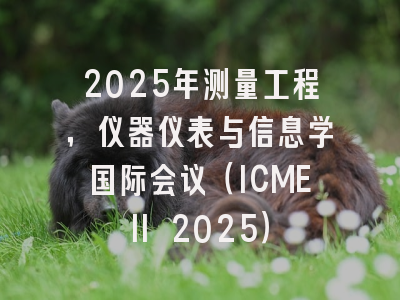 2025年测量工程，仪器仪表与信息学国际会议（ICMEII 2025）
