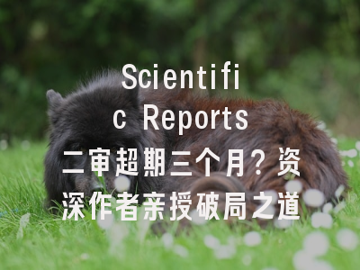 Scientific Reports二审超期三个月？资深作者亲授破局之道