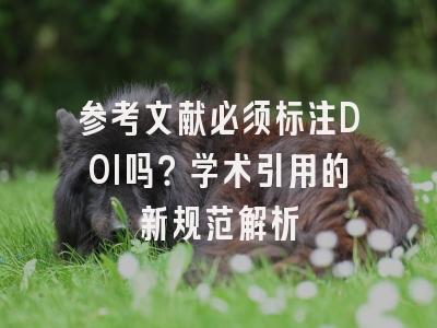 参考文献必须标注DOI吗？学术引用的新规范解析