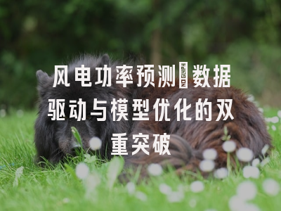 风电功率预测_数据驱动与模型优化的双重突破